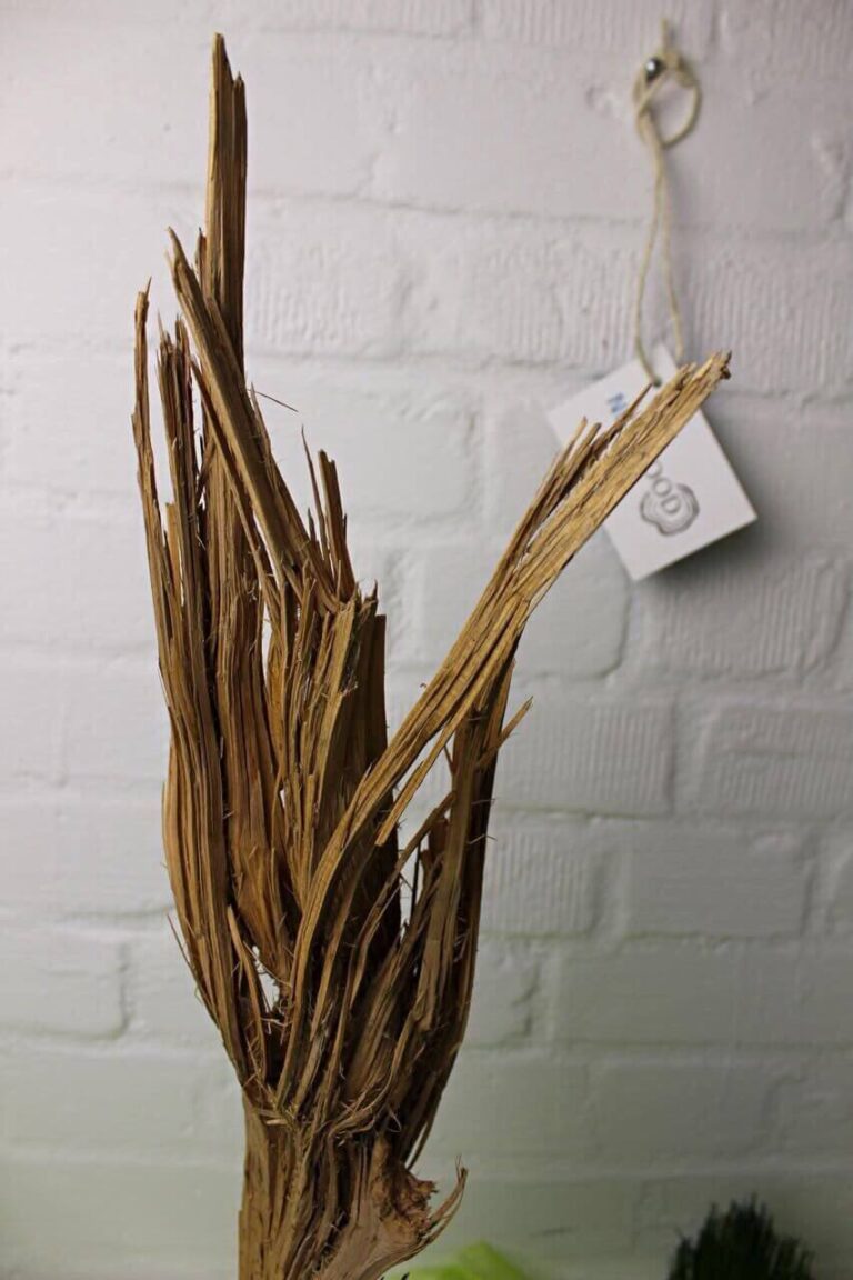 Treibholz Skulptur Struppi NeyWood